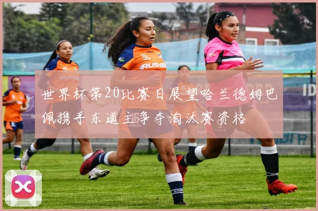 世界杯第20比赛日展望哈兰德姆巴佩携手东道主争夺淘汰赛资格