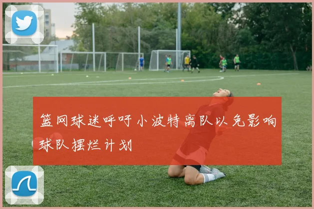 篮网球迷呼吁小波特离队以免影响球队摆烂计划